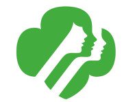 Medfield Girl Scouts honored with Gold Awards