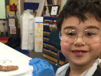 Wellesley Students Get Excited About Science at Hardy Science Night