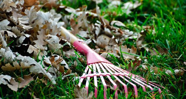 Needham Town-Wide Cleanup on Saturday