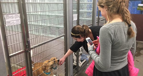 Sage School Student Council assist local shelter