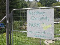 Needhamites ‘kick it up a notch’