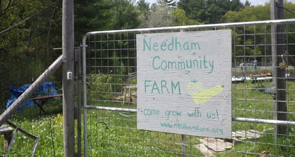 Needhamites ‘kick it up a notch’