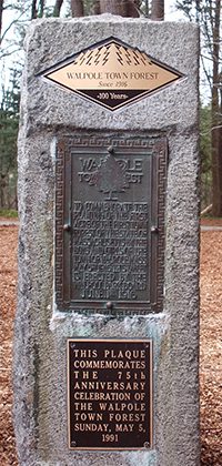 Town Forest 100th Anniversary