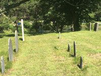 Vine Lake hosts tour