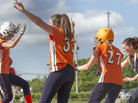Walpole softball team enjoys postseason run