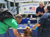 Wellesley’s annual July Jubilation a success