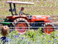 Powisset Farm photo competition