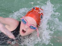 Walpole swim team beats Needham