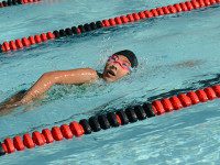 Westwood swimmers paddle onward