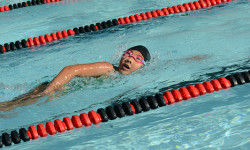 Westwood swimmers paddle onward