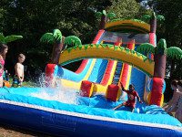 Walpole Woods – a new camp option