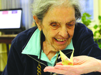Paper cranes are flying in Walpole
