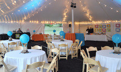 MCPE raises over $70,000 from Ball and Auction