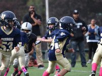 Junior football goes 3-1 vs. Brockton