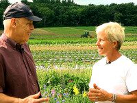 Community Supported Agriculture on Medfield TV