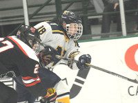 Hometown Hockey Preview: Needham