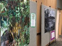 Westwood Shines in annual art exhibit