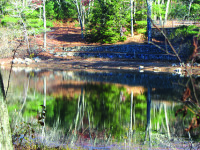 Rocky Woods to become winter wonderland