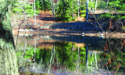 Rocky Woods to become winter wonderland