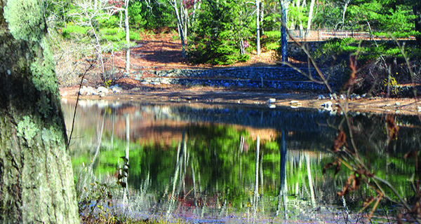 Rocky Woods to become winter wonderland