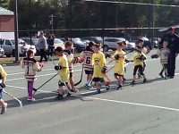 Walpole hockey stages street tourney