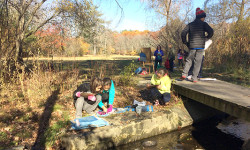 Green Schools Summit