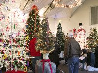 Festival of Trees dazzles in eighth year