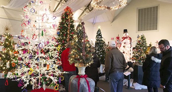 Festival of Trees dazzles in eighth year