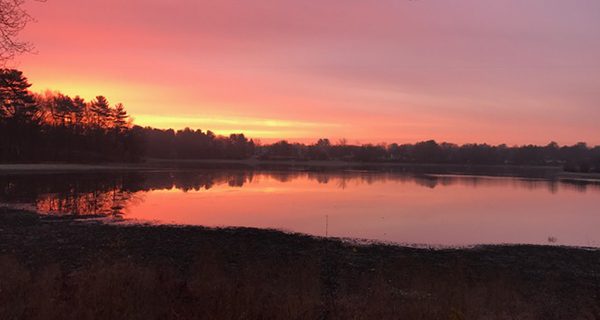 Sunrise at Buckmaster Pond