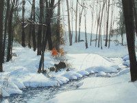 ‘Art in Nature’ coming to Broadmoor