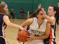 Wolverine girls  hoop concludes season in South Finals