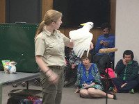 Amazing Animals wow at Needham Library