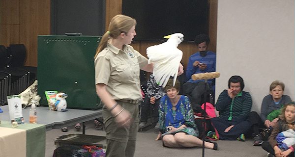Amazing Animals wow at Needham Library