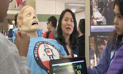 Wellesley STEM Expo a smashing success