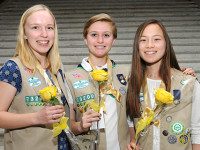 Wellesley Girl Scouts earn Gold Award