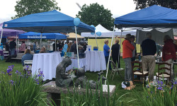 Needham Street Fair celebrates local non-profits