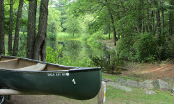 Summer brings changes to Rocky Woods