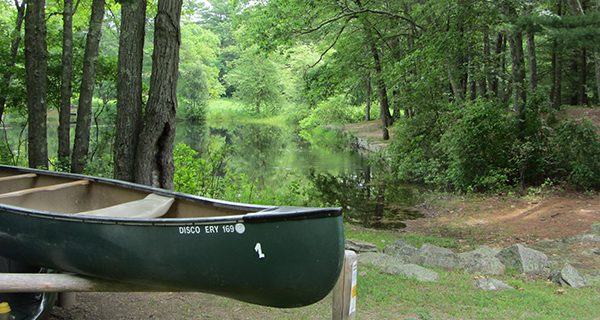 Summer brings changes to Rocky Woods