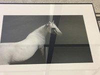 Exhibit combines love of art, horses