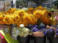 Farmers Market marches onward