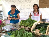 Medfield Farmers’ Market soldiers onward