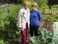 Community Gardens sprout altruism in Wellesley