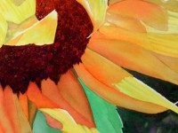 WSA sponsoring Sally Meding demonstration