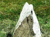 Vine Lake walking tour on Saturday