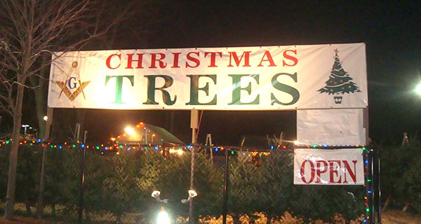 Christmas Tree Sale in full swing