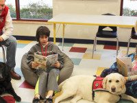 Library throws a bone to practicing readers