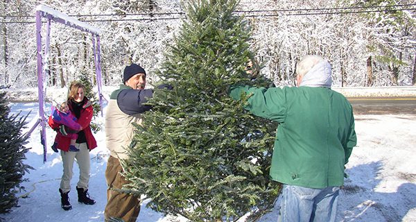 Medfield Lions holding Christmas Tree Sale