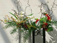 Tanaka to give ikebana demonstration