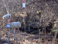 Reindeer Quest inspires whimsical park tour