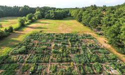 Medfield Community Garden registration opens
